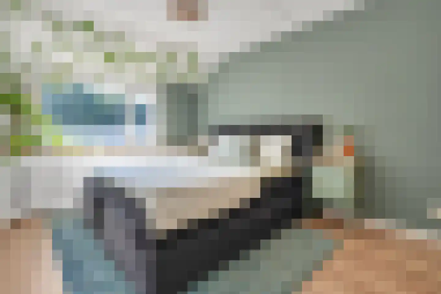 Rauwland 50 Delden thumbnail 4