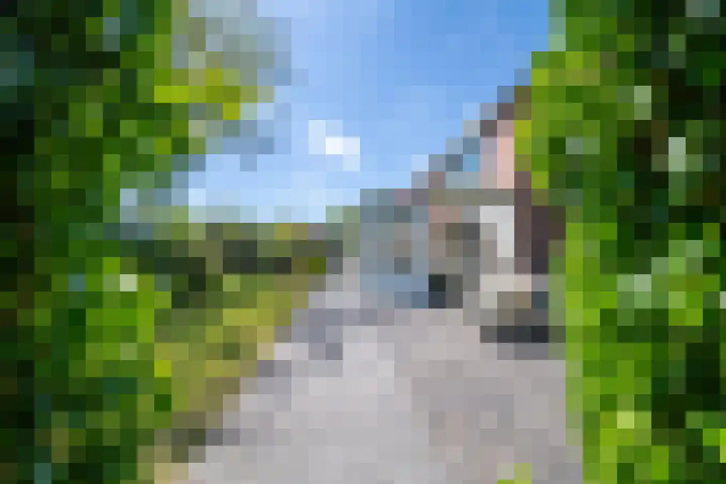 Rauwland 52 Delden thumbnail 20