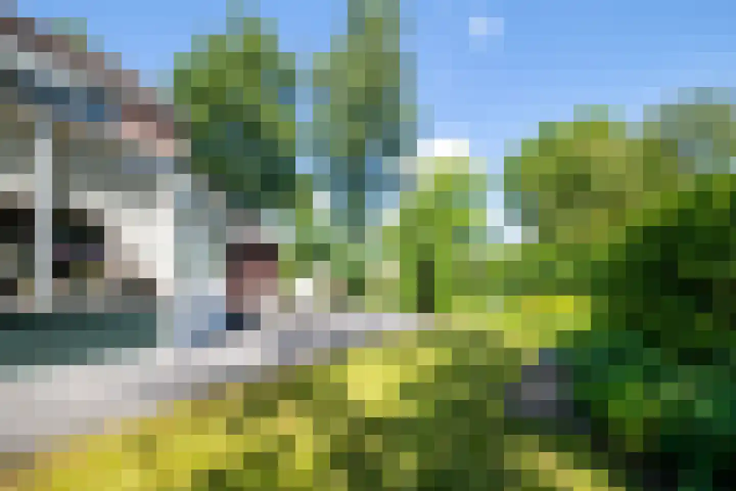 Rauwland 52 Delden thumbnail 21