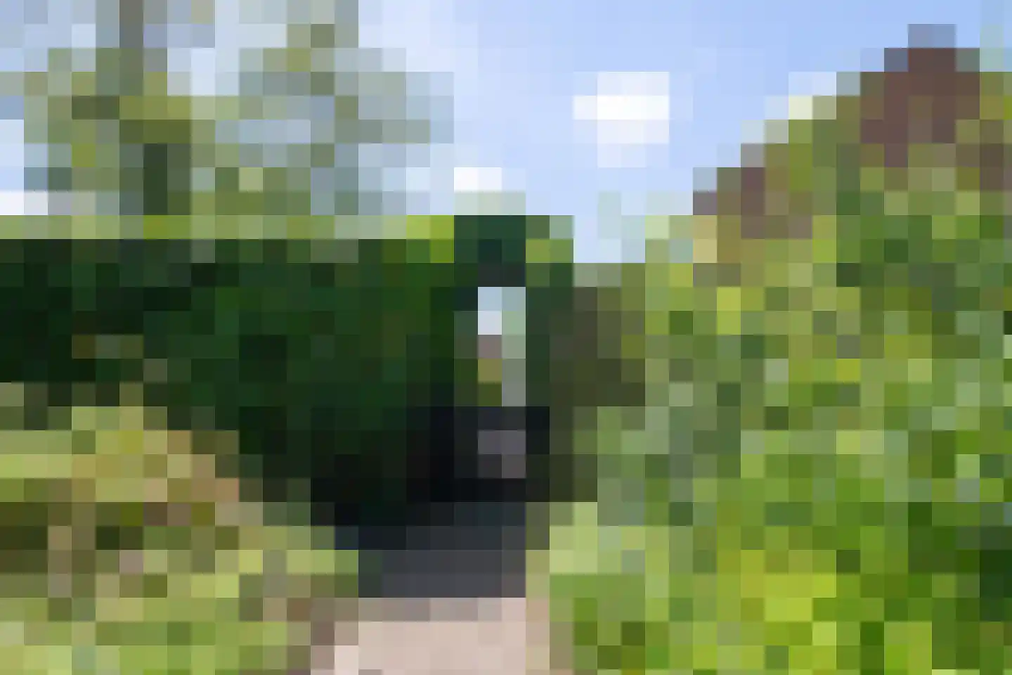 Rauwland 52 Delden thumbnail 22