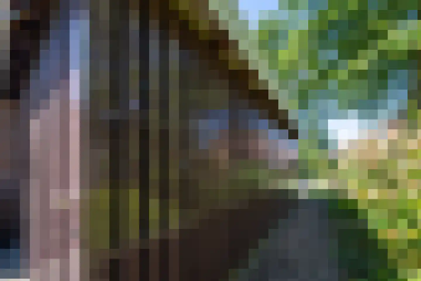 Rauwland 52 Delden thumbnail 23