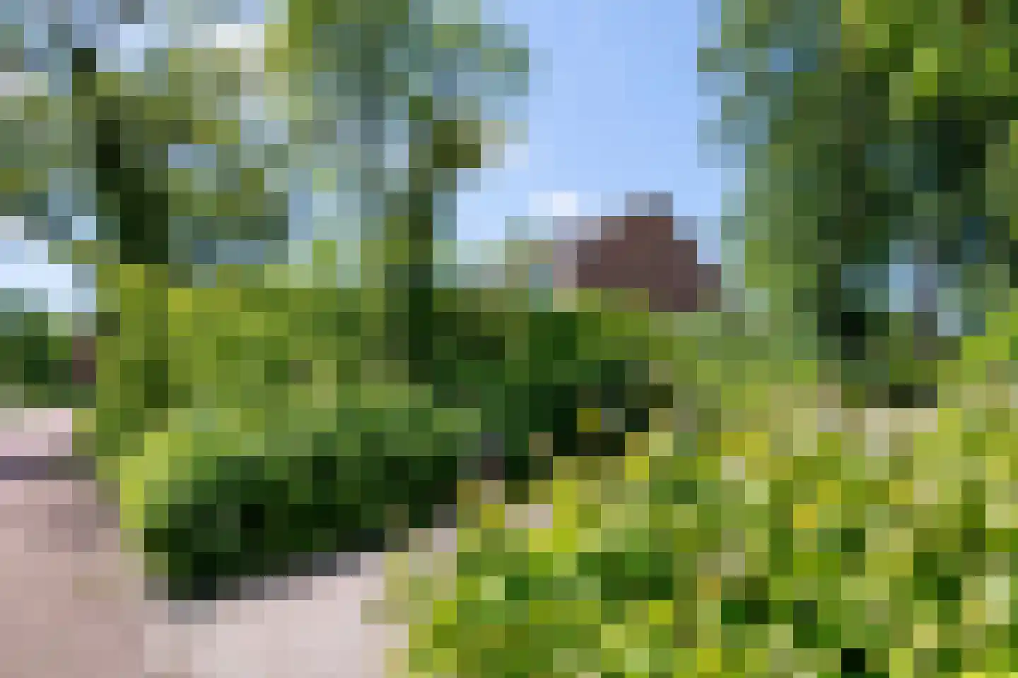 Rauwland 52 Delden thumbnail 25