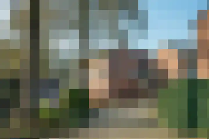 Rauwland 54 Delden thumbnail 33