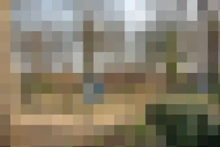 Rauwland 54 Delden thumbnail 34