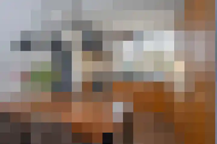 Rauwland 54 Delden thumbnail 8