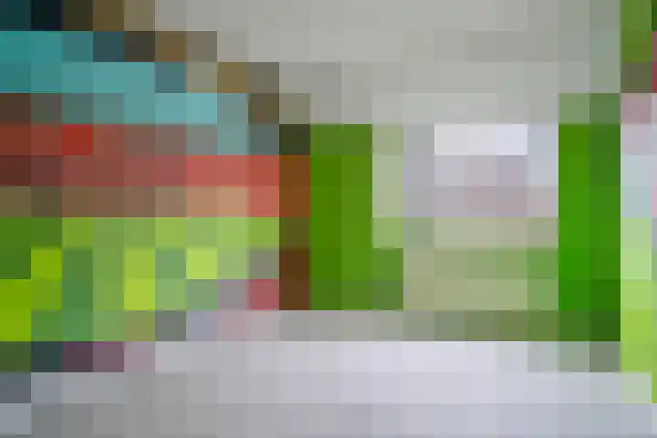 Rauwland 56 Delden thumbnail 20