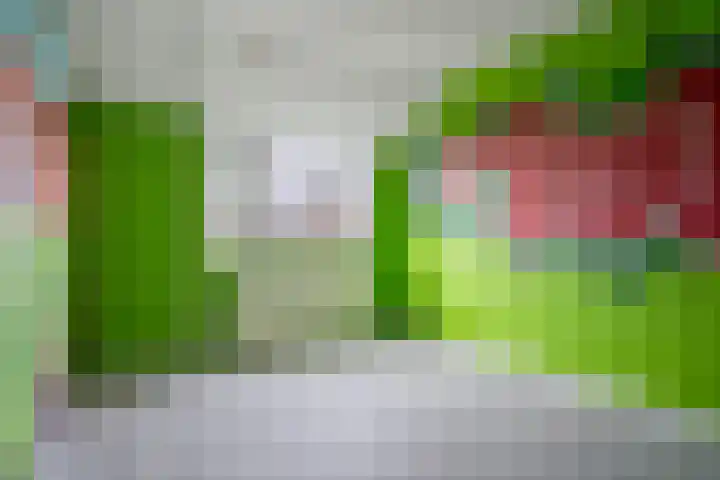 Rauwland 56 Delden thumbnail 21