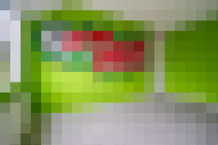 Rauwland 56 Delden thumbnail 22