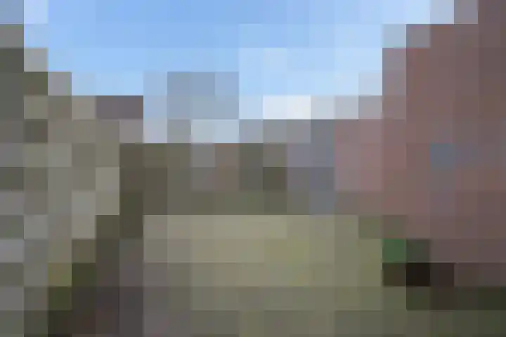 Rauwland 56 Delden thumbnail 34
