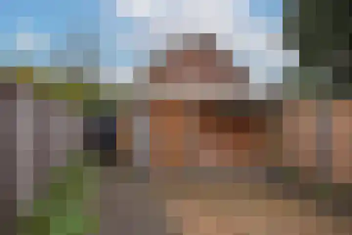 Rauwland 68 Delden thumbnail 25
