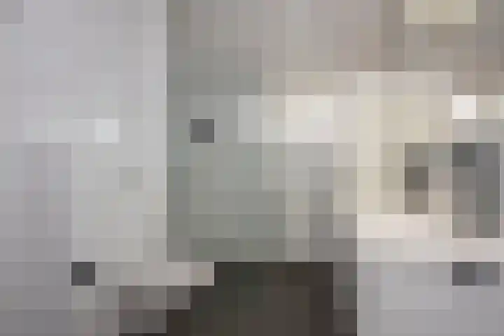 Rauwland 68 Delden thumbnail 4