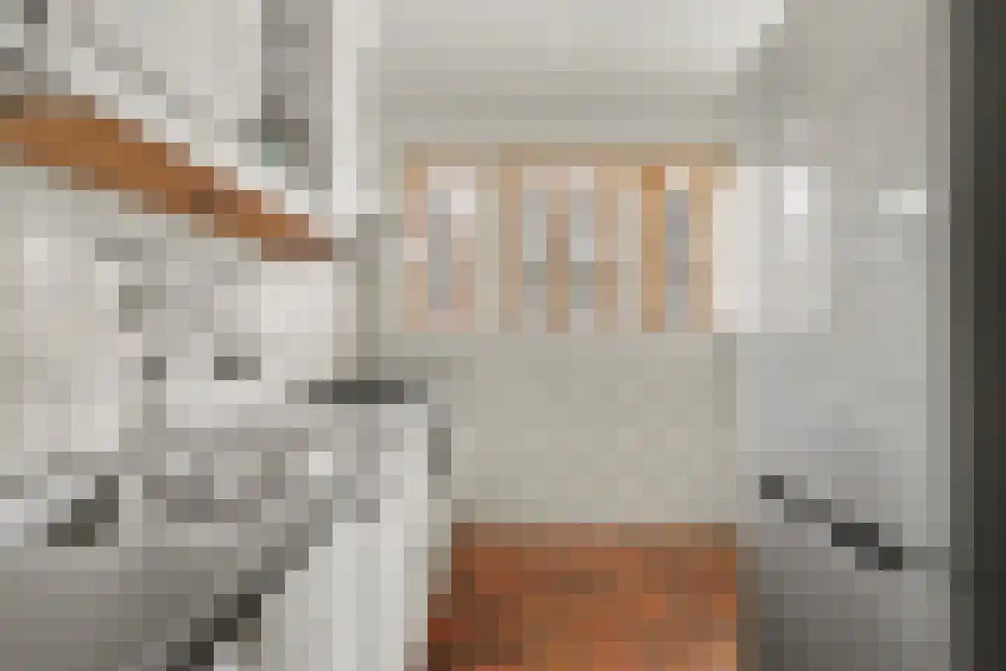 Ravehorst 9 Honselersdijk thumbnail 10