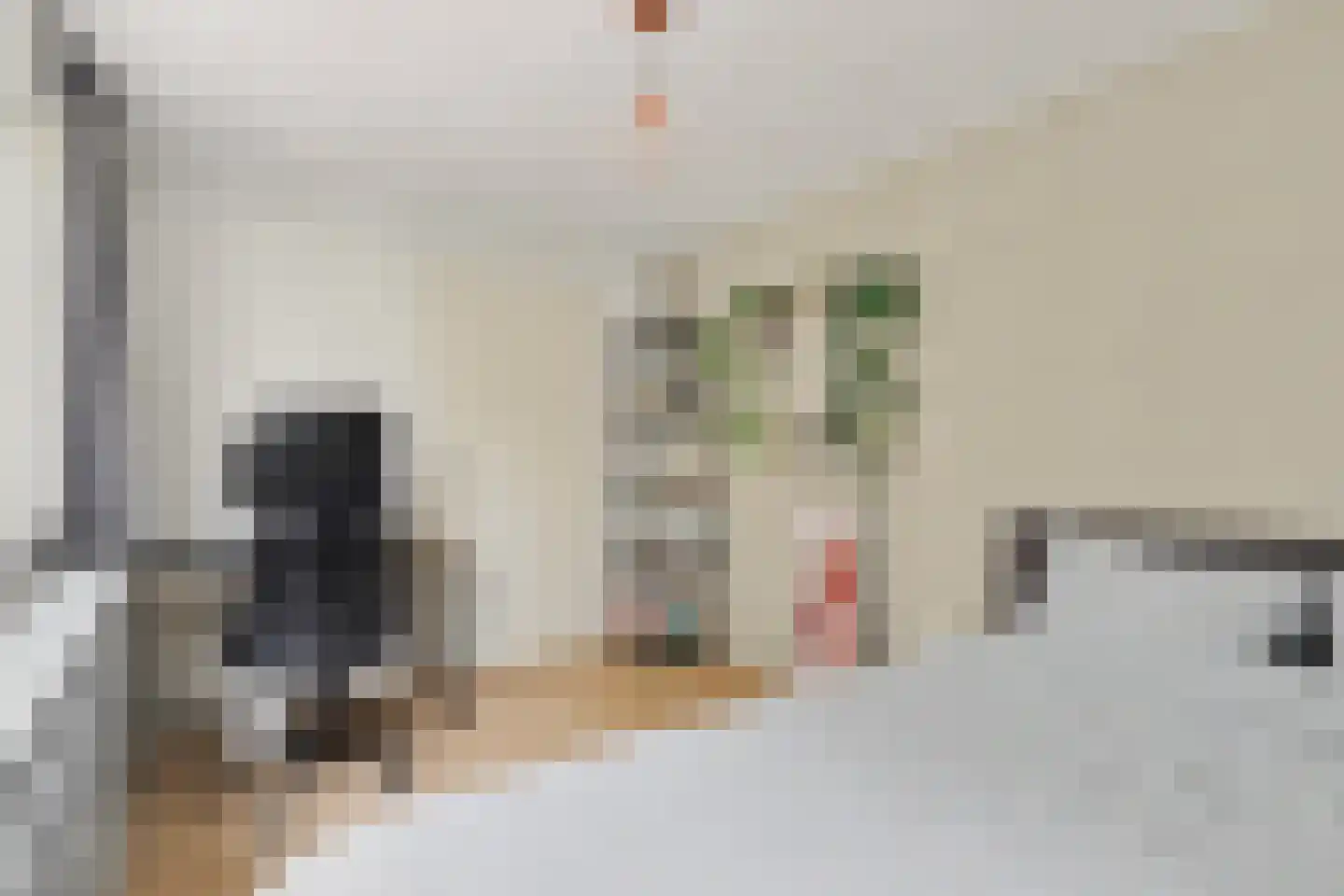 Ravehorst 9 Honselersdijk thumbnail 14