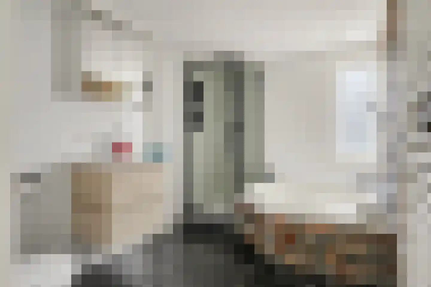 Ravehorst 9 Honselersdijk thumbnail 15