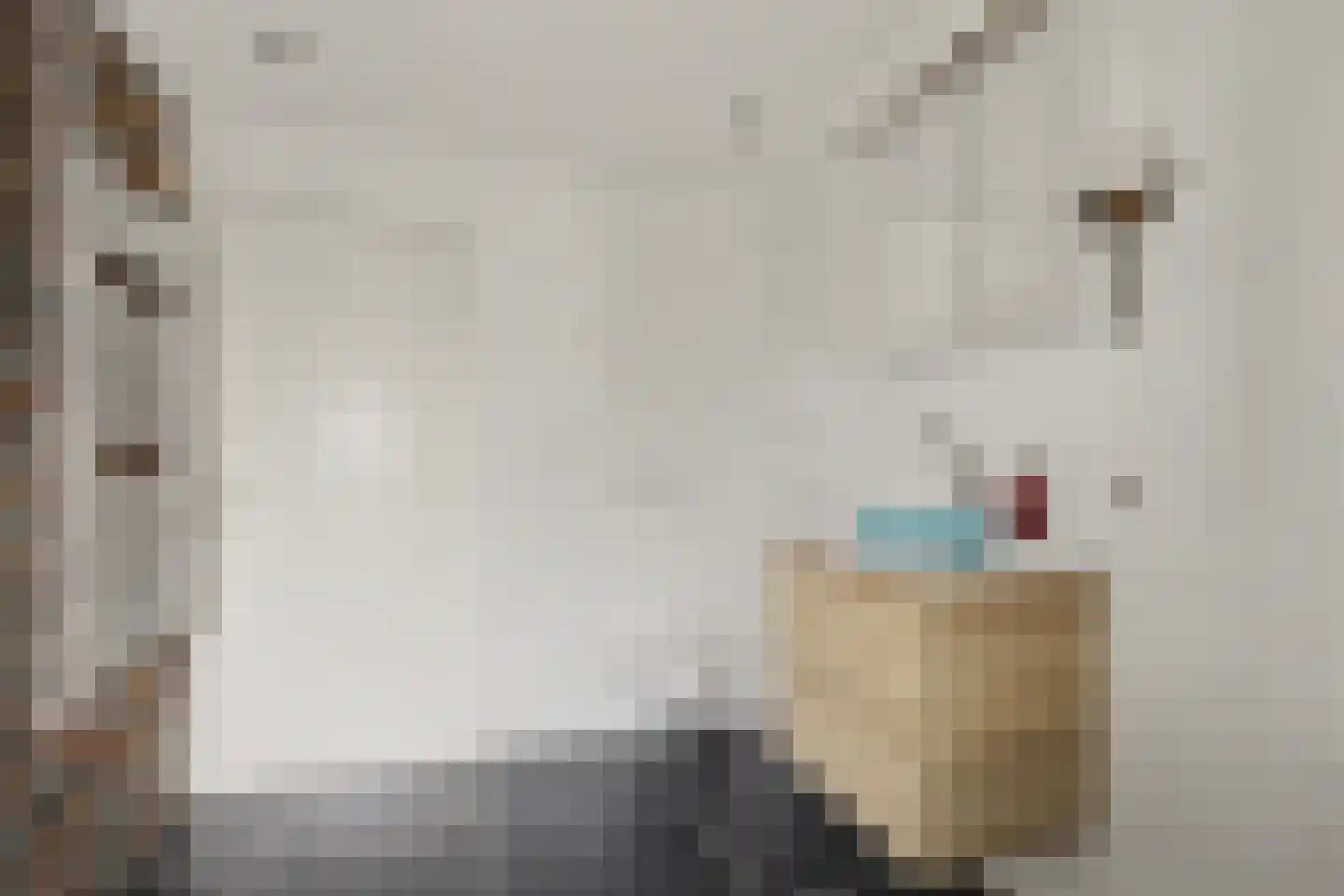 Ravehorst 9 Honselersdijk thumbnail 16