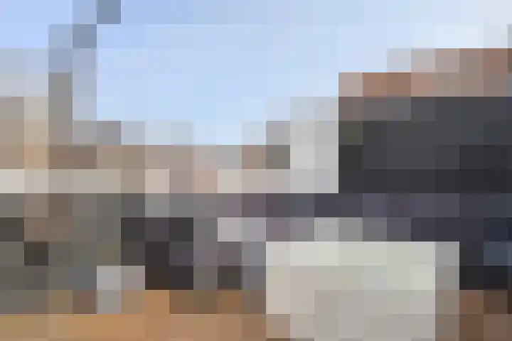 Ravehorst 9 Honselersdijk thumbnail 19