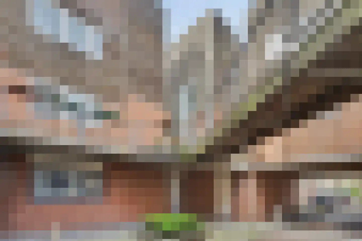 Ravehorst 9 Honselersdijk thumbnail 21