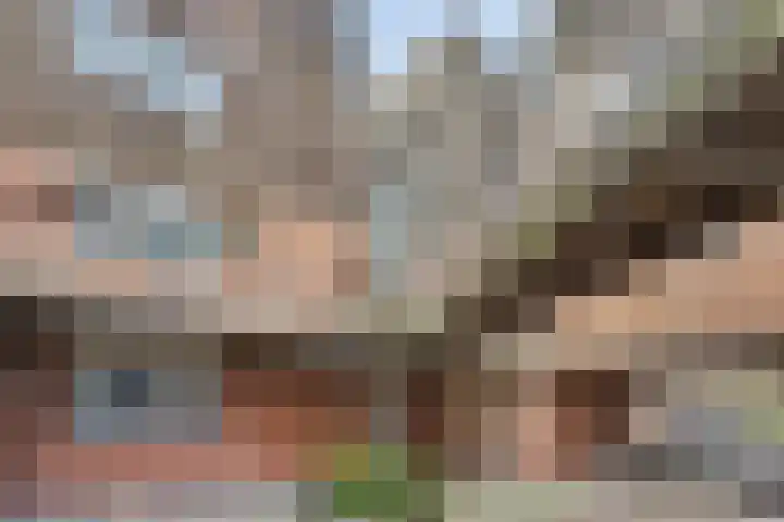 Ravehorst 9 Honselersdijk thumbnail 21