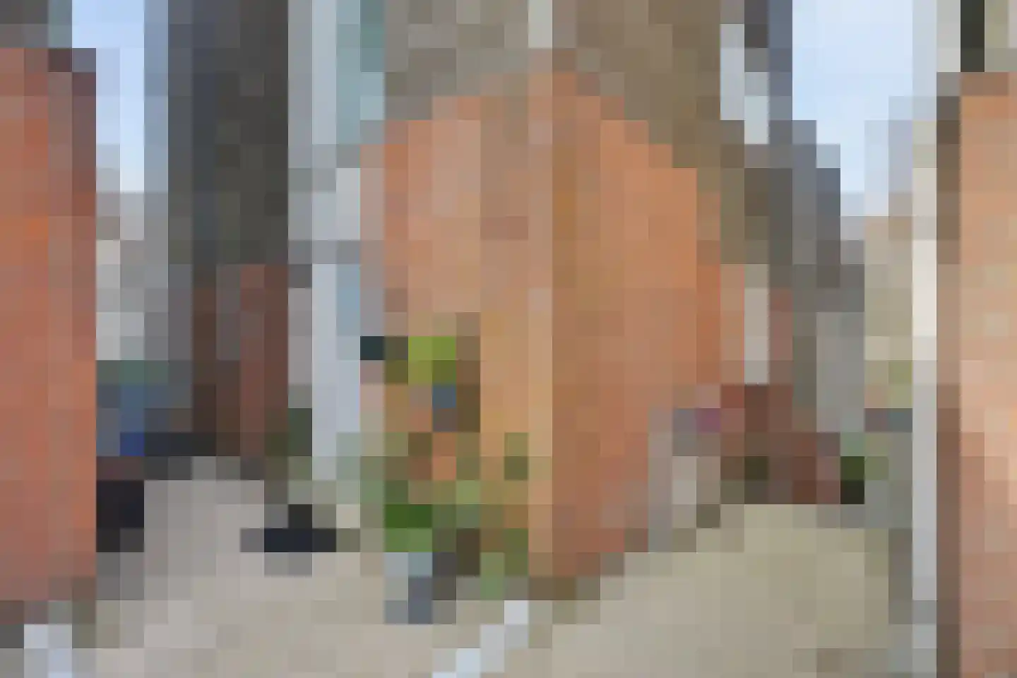 Ravehorst 9 Honselersdijk thumbnail 22
