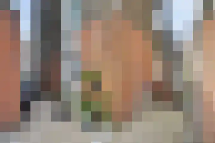 Ravehorst 9 Honselersdijk thumbnail 22