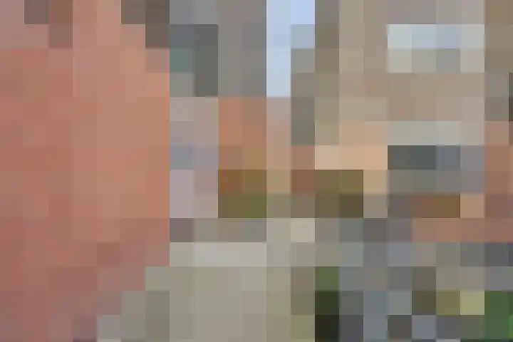 Ravehorst 9 Honselersdijk thumbnail 23