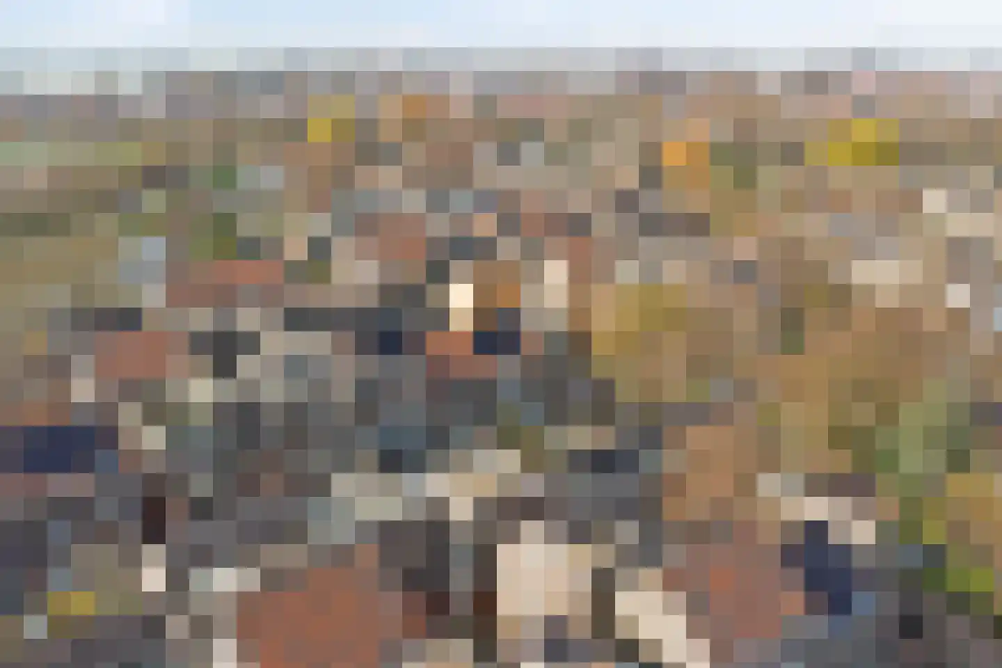 Ravehorst 9 Honselersdijk thumbnail 25
