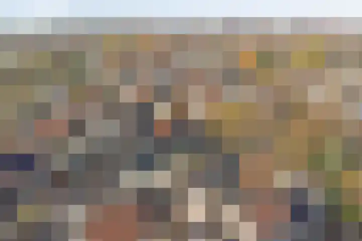 Ravehorst 9 Honselersdijk thumbnail 25