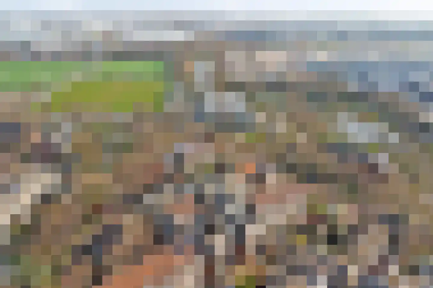 Ravehorst 9 Honselersdijk thumbnail 26