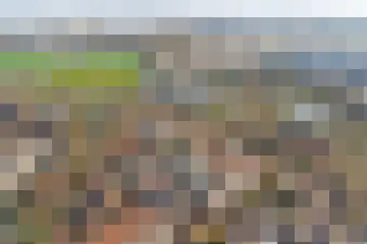 Ravehorst 9 Honselersdijk thumbnail 26