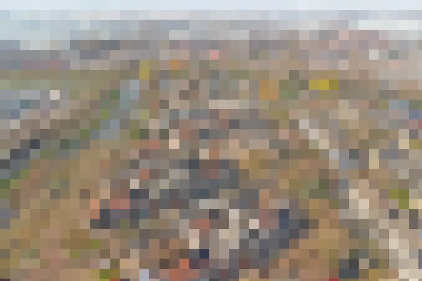Ravehorst 9 Honselersdijk thumbnail 27