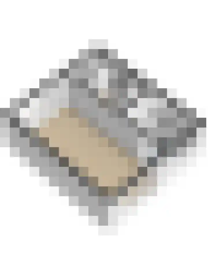 Ravehorst 9 Honselersdijk thumbnail 30