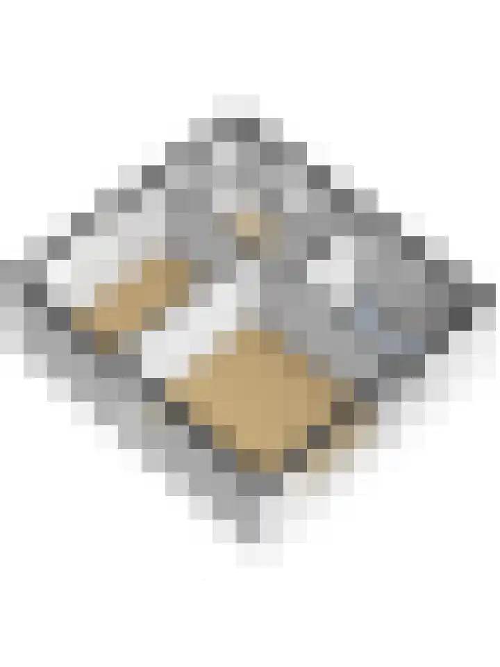 Ravehorst 9 Honselersdijk thumbnail 32