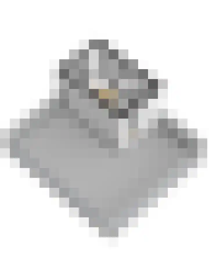 Ravehorst 9 Honselersdijk thumbnail 36