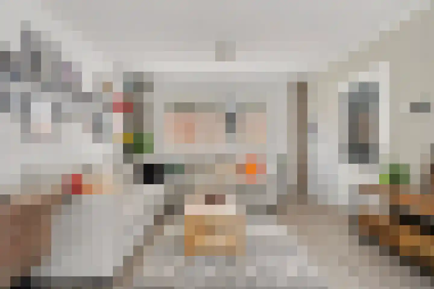 Ravehorst 9 Honselersdijk thumbnail 4