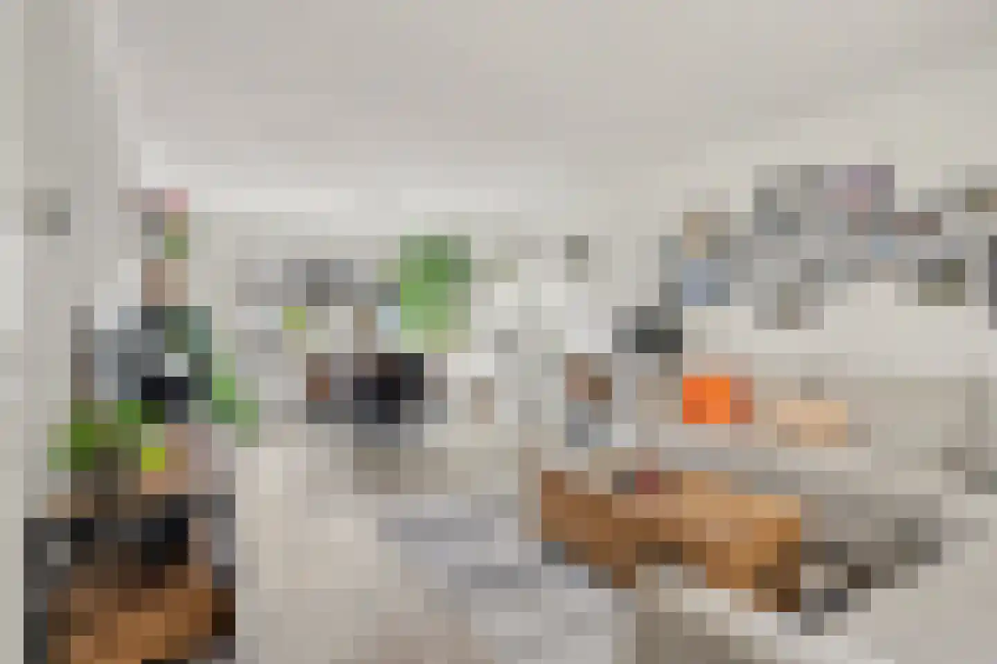 Ravehorst 9 Honselersdijk thumbnail 5