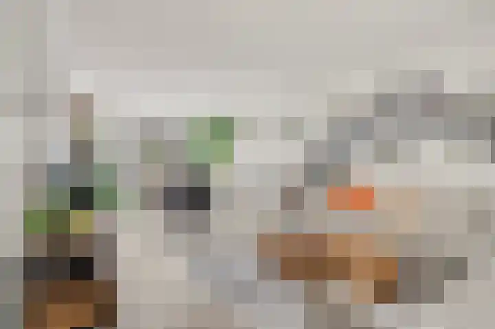 Ravehorst 9 Honselersdijk thumbnail 5