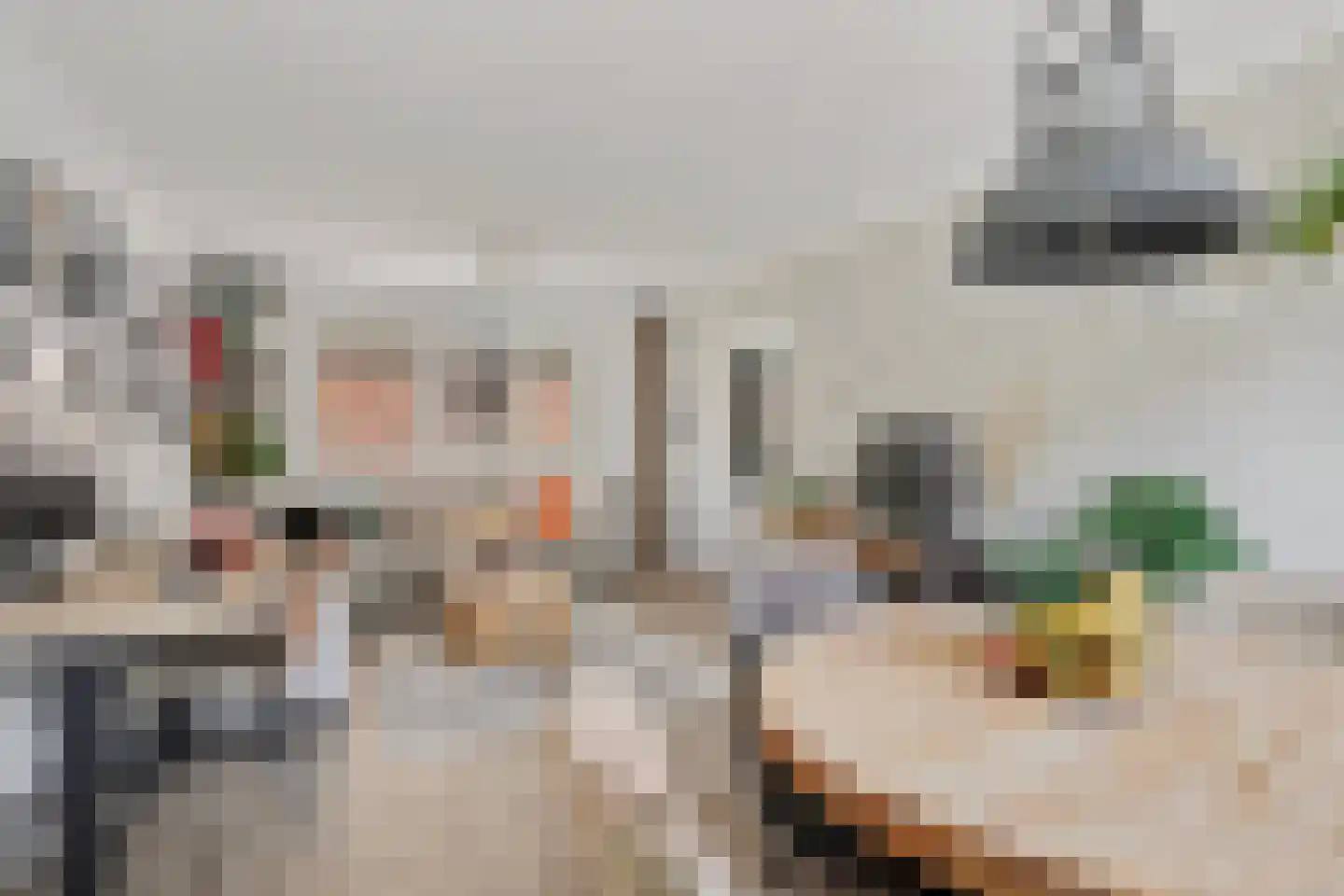 Ravehorst 9 Honselersdijk thumbnail 6