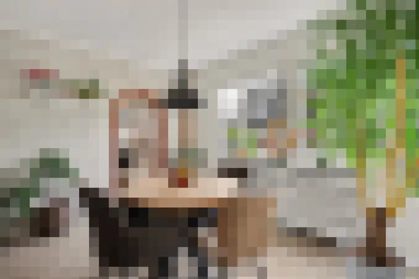 Ravehorst 9 Honselersdijk thumbnail 7