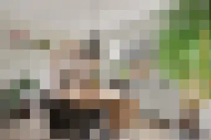 Ravehorst 9 Honselersdijk thumbnail 7