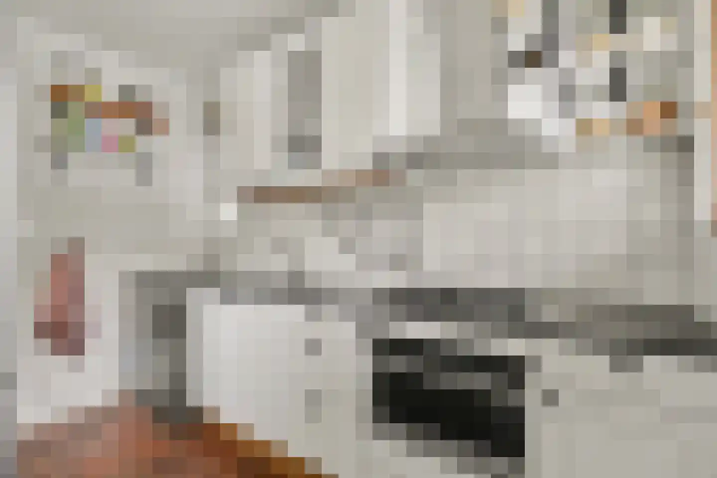 Ravehorst 9 Honselersdijk thumbnail 8