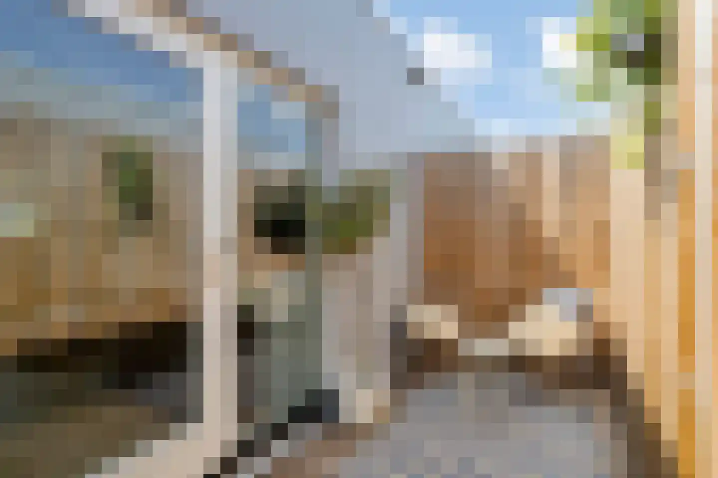 Ravelijn 10 Zeewolde thumbnail 22