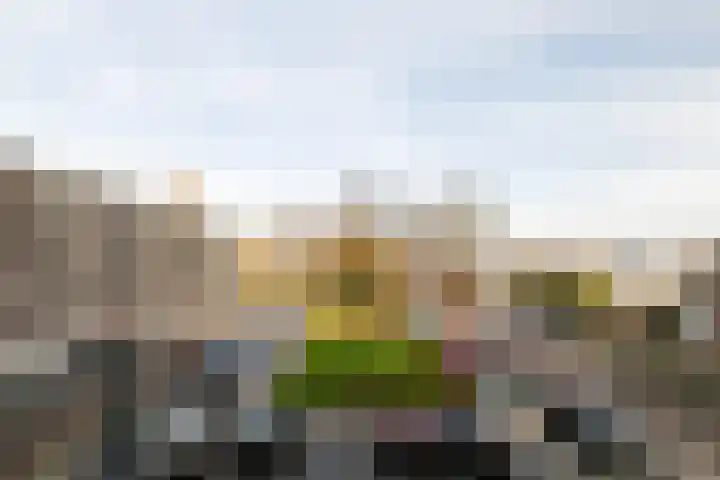 Ravelijn 108 Geertruidenberg thumbnail 10