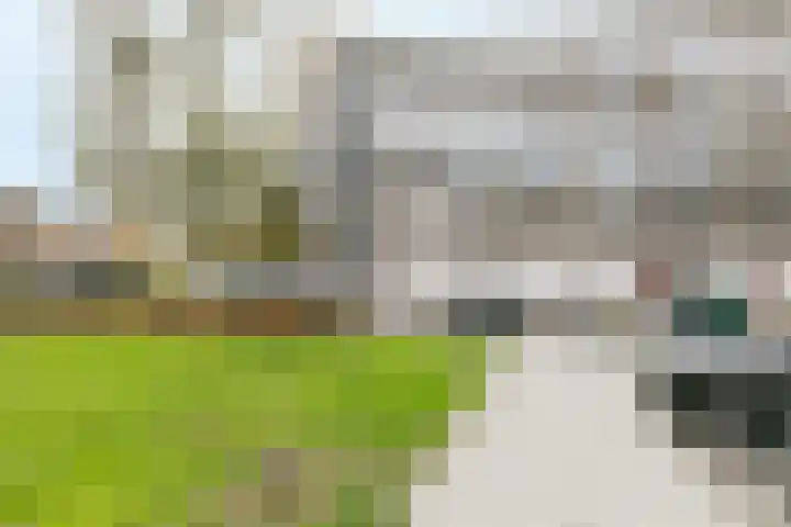 Ravelijn 108 Geertruidenberg thumbnail 11