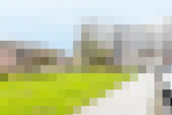 Ravelijn 108 Geertruidenberg thumbnail 12