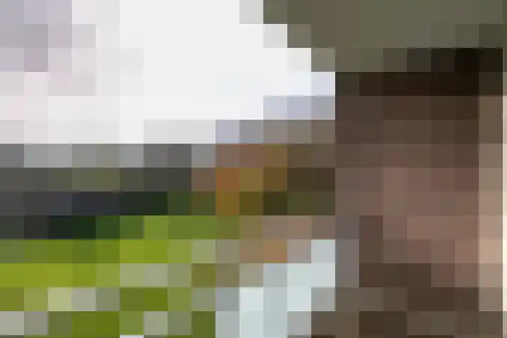 Ravelijn 108 Geertruidenberg thumbnail 24