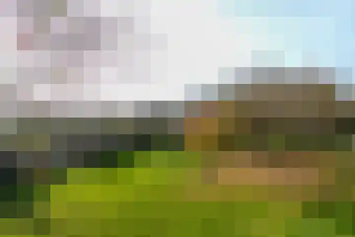 Ravelijn 108 Geertruidenberg thumbnail 26