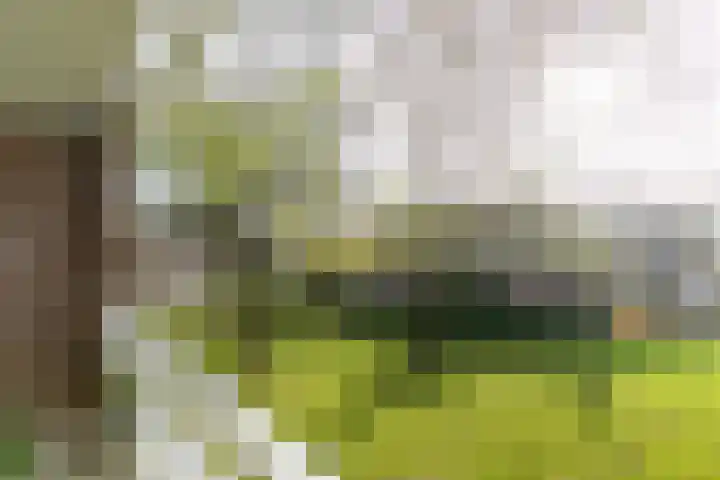 Ravelijn 108 Geertruidenberg thumbnail 27