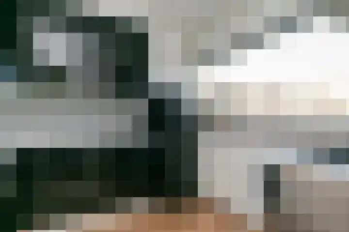 Ravelijn 108 Geertruidenberg thumbnail 30