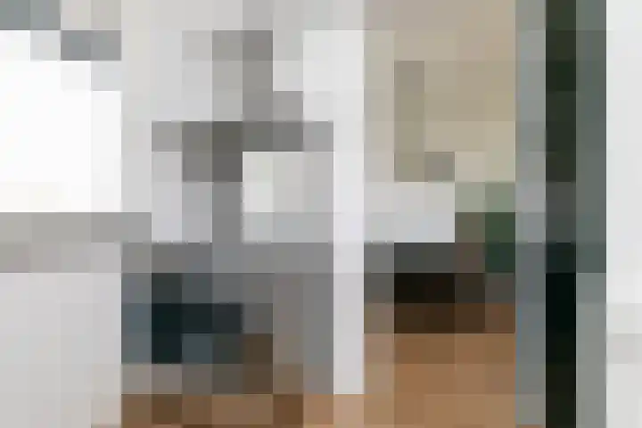 Ravelijn 108 Geertruidenberg thumbnail 32