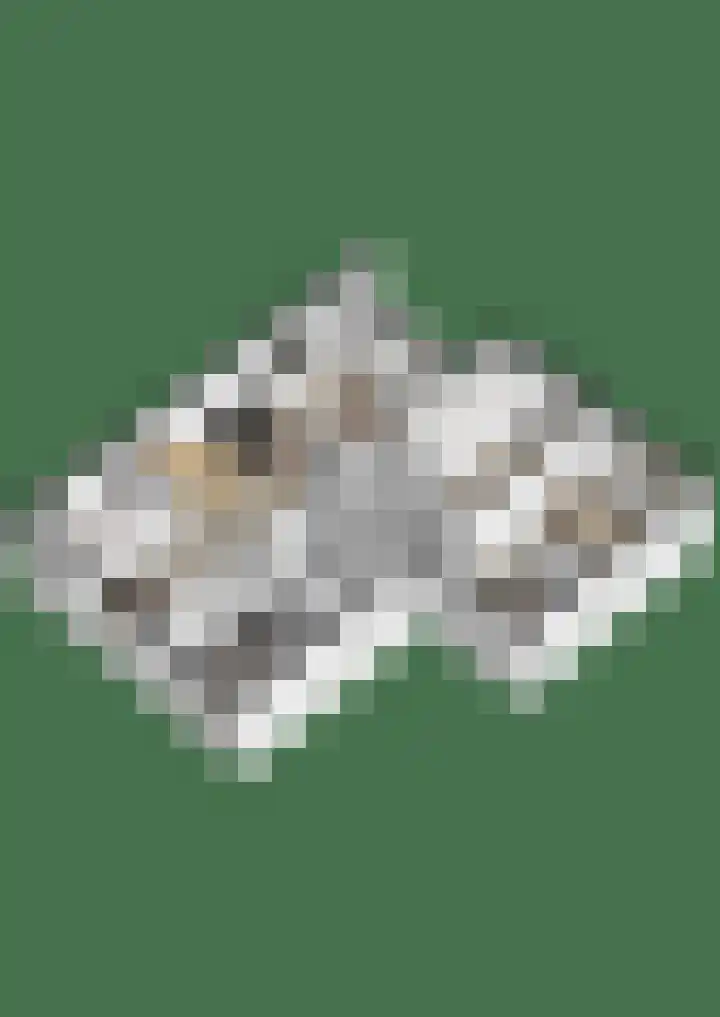 Ravelijn 108 Geertruidenberg thumbnail 42